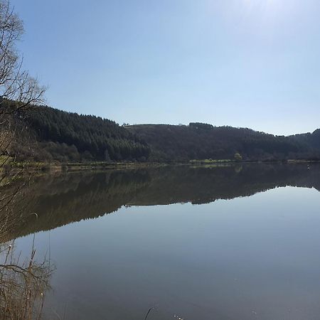 River Mosel Holiday Homes, Meerfeld Studio With A Lake View Exterior foto