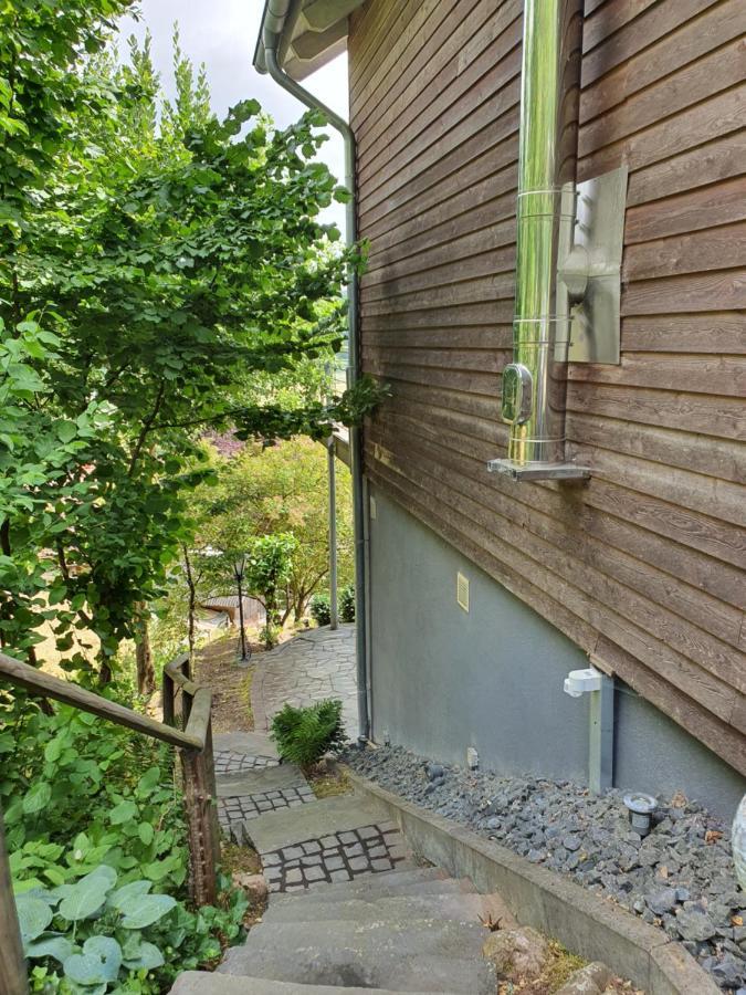 River Mosel Holiday Homes, Meerfeld Studio With A Lake View Exterior foto