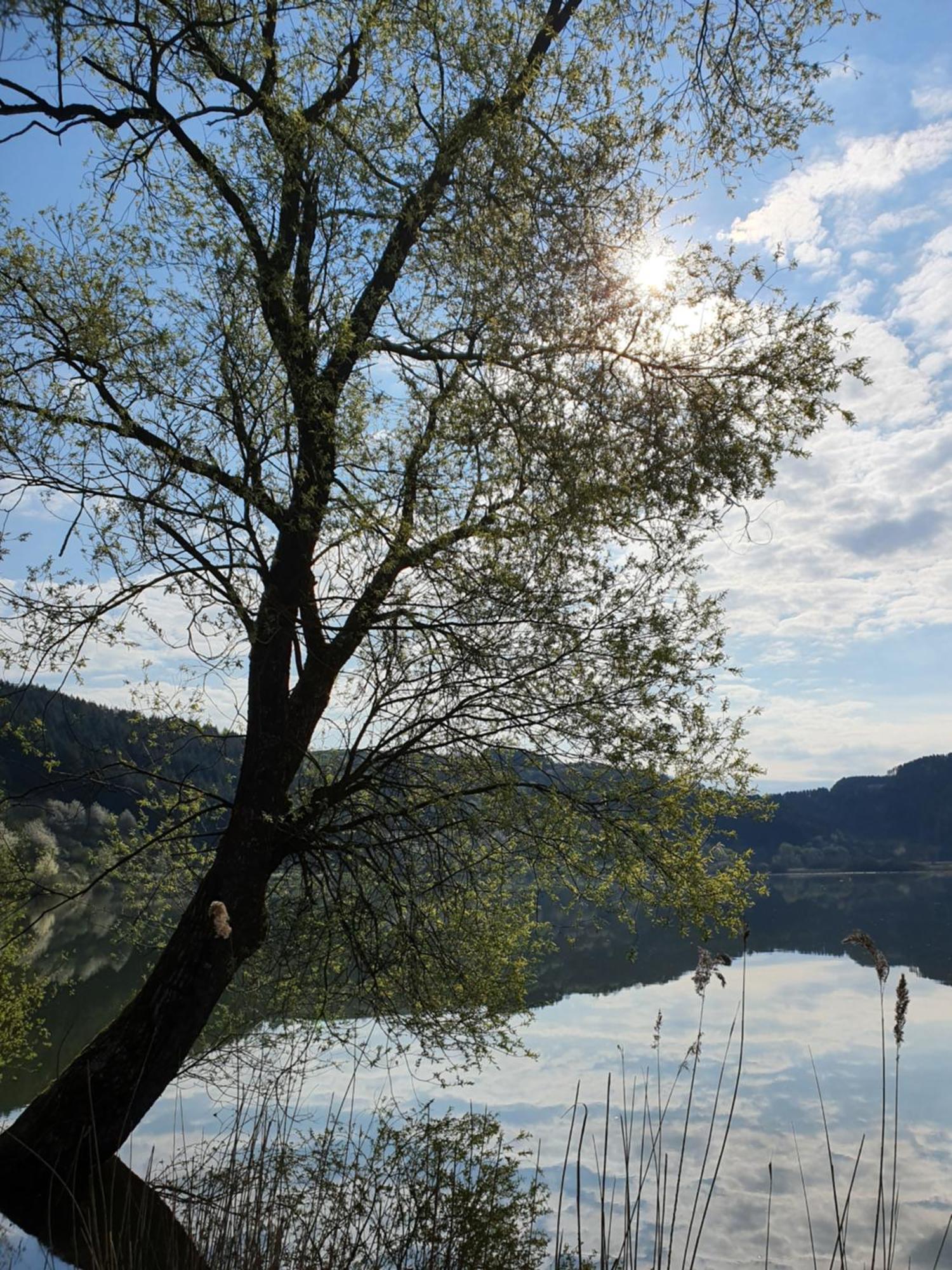 River Mosel Holiday Homes, Meerfeld Studio With A Lake View Exterior foto